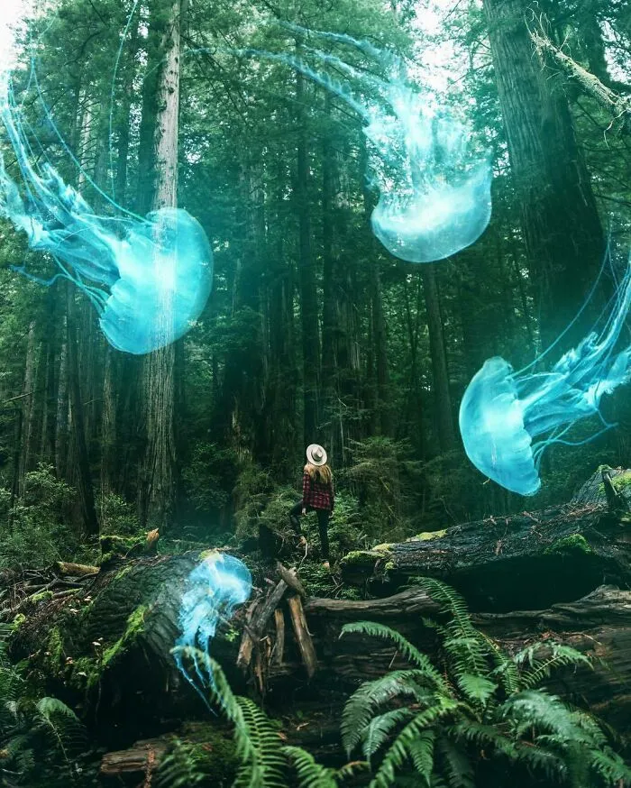 78 Surreal Digital Manipulations From The Artist Behind The Photoshop 2021 Splash Photo