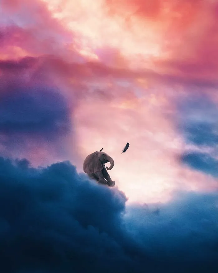 Dumbo