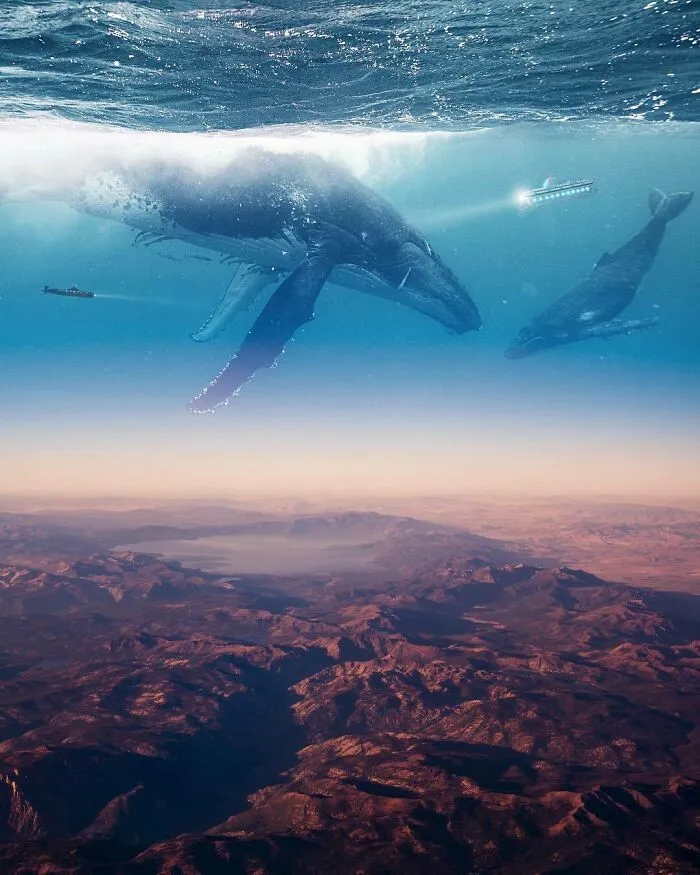 Water World