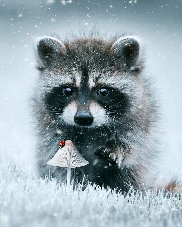 78 Surreal Digital Manipulations From The Artist Behind The Photoshop 2021 Splash Photo
