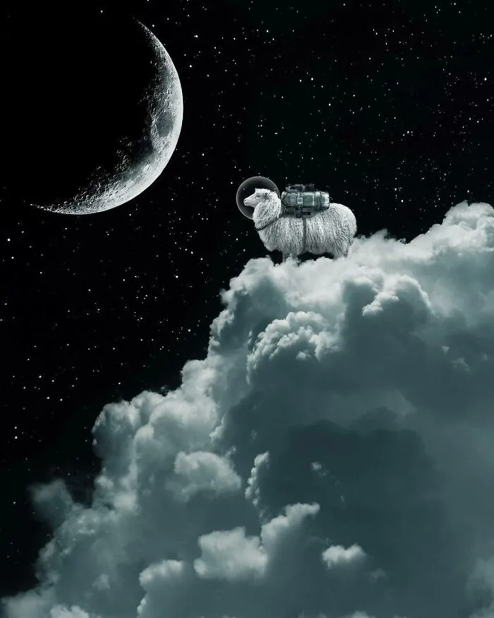 Spacesheep