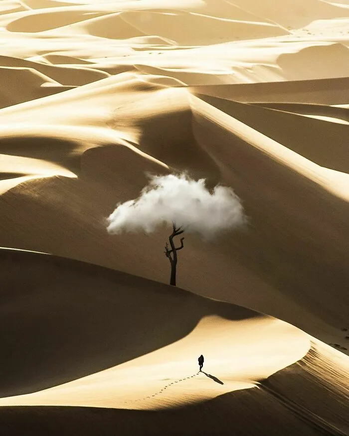 Seeking For Higher Thoughts