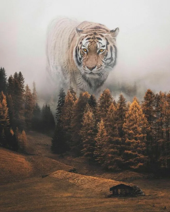 78 Surreal Digital Manipulations From The Artist Behind The Photoshop 2021 Splash Photo