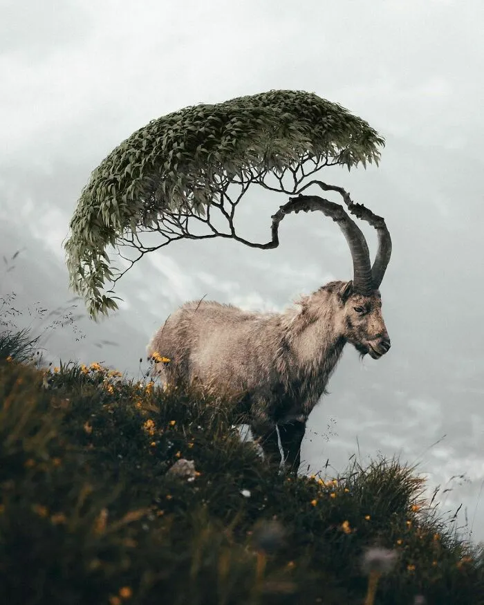 78 Surreal Digital Manipulations From The Artist Behind The Photoshop 2021 Splash Photo