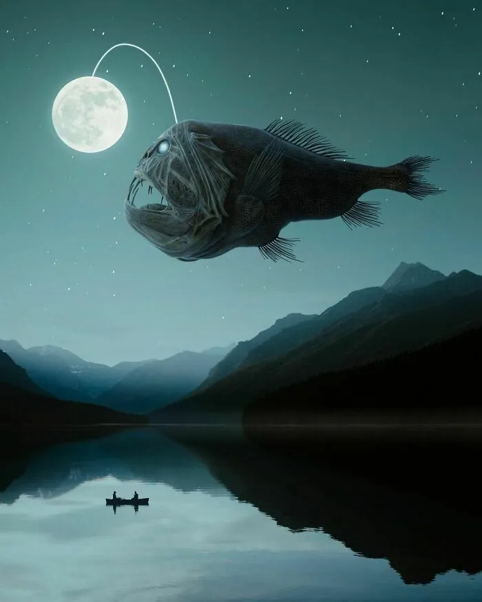 Moon Light