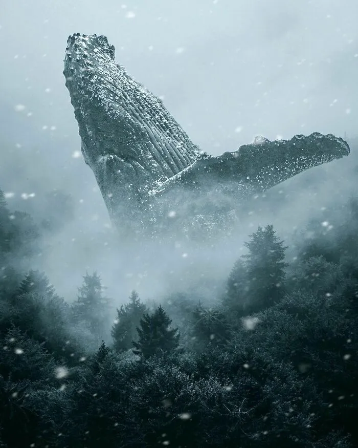 78 Surreal Digital Manipulations From The Artist Behind The Photoshop 2021 Splash Photo