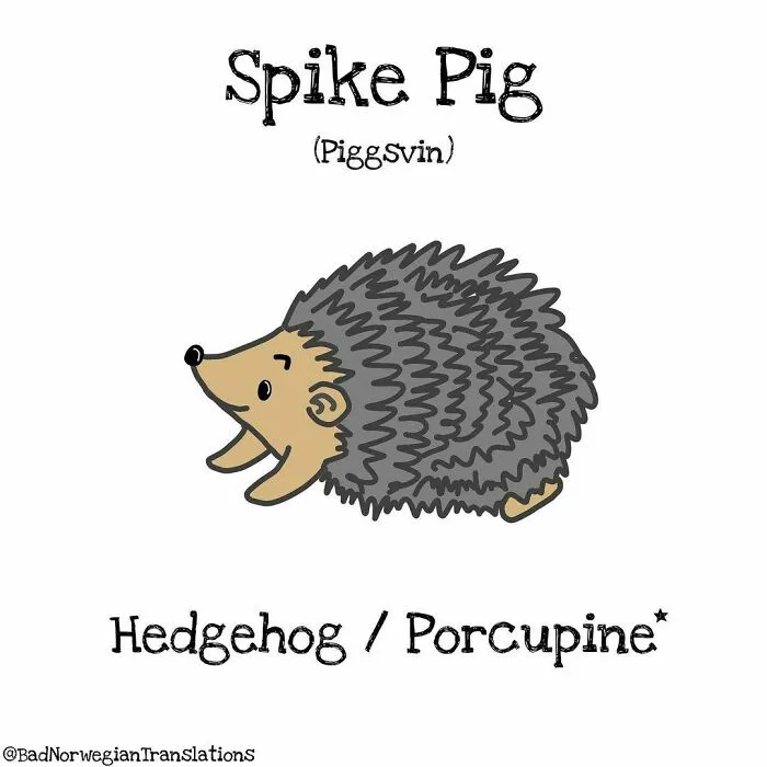 40 Brilliantly Literal Norwegian Words That Say Exactly What They Mean Illustrated By Me
