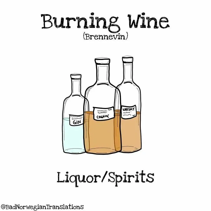 40 Brilliantly Literal Norwegian Words That Say Exactly What They Mean Illustrated By Me