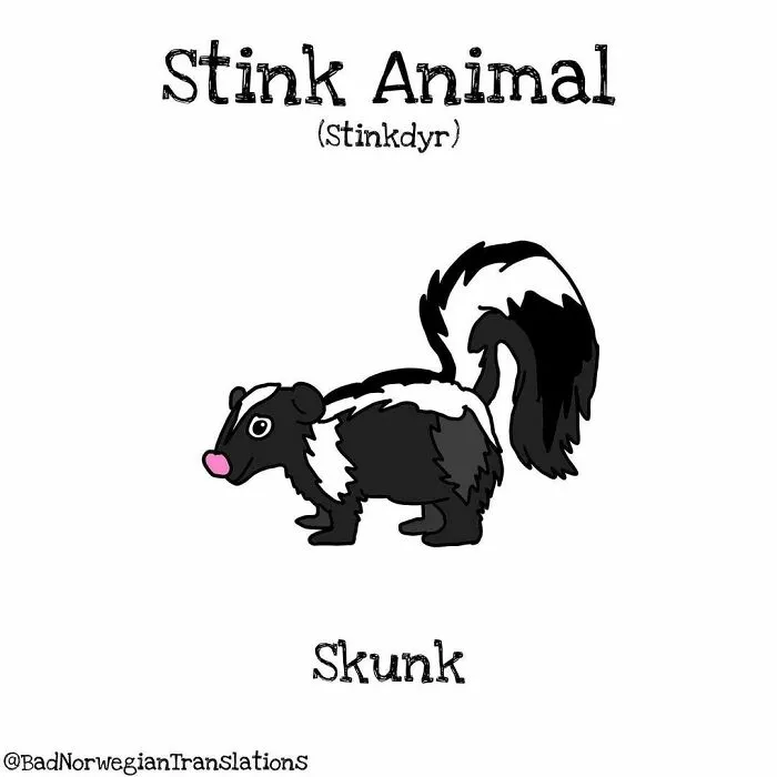 40 Brilliantly Literal Norwegian Words That Say Exactly What They Mean Illustrated By Me