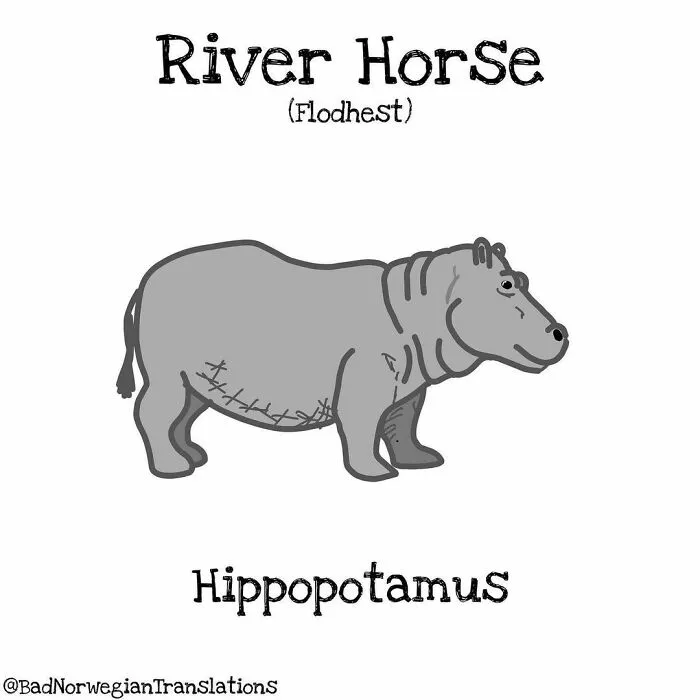 40 Brilliantly Literal Norwegian Words That Say Exactly What They Mean Illustrated By Me