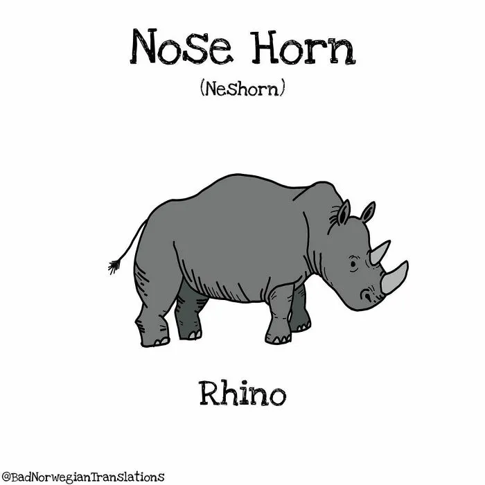 40 Brilliantly Literal Norwegian Words That Say Exactly What They Mean Illustrated By Me