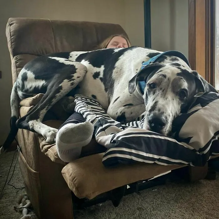 Tiempo De Siesta, Pequeño Humano. Deja De Moverte