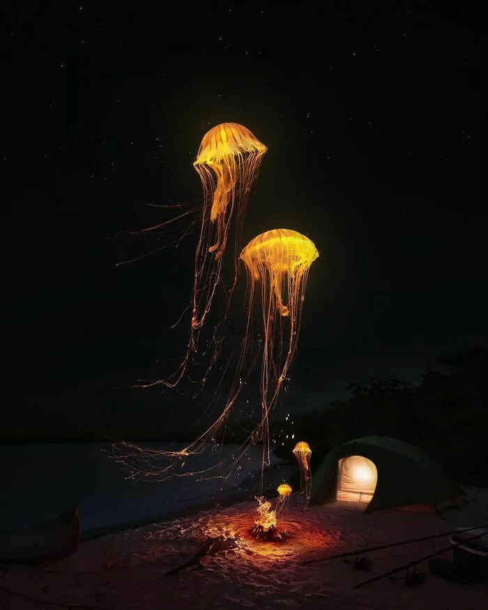 78 Surreal Digital Manipulations From The Artist Behind The Photoshop 2021 Splash Photo