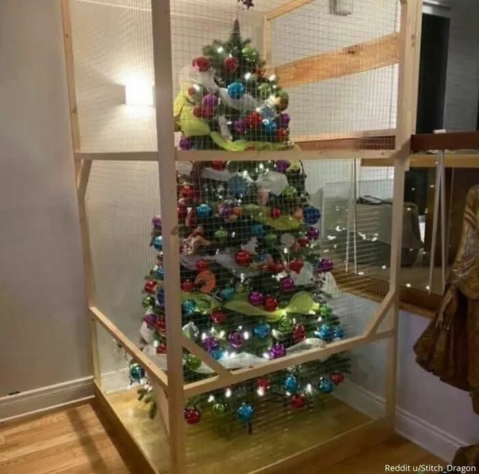 Mi padre construyó esto para proteger el árbol del gato