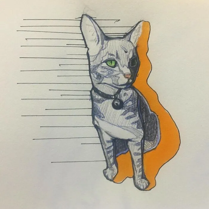 Drew My Friend's Cat. Follow Me On Insta @lizrdsister If You Like Weird Art :)