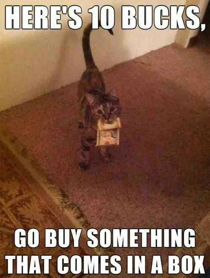 10/10 Would Do