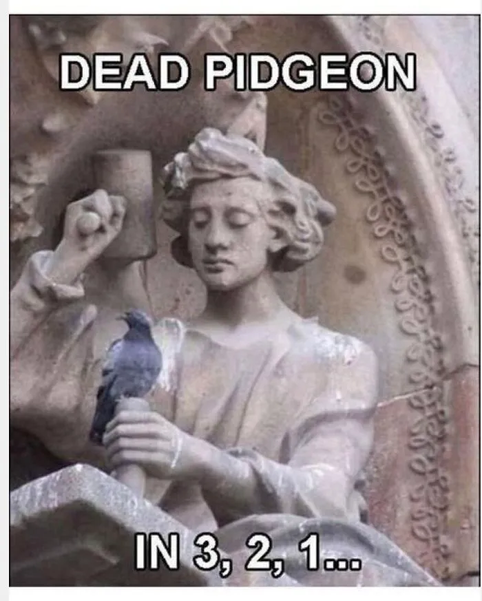 🤣🤣🤣🤣