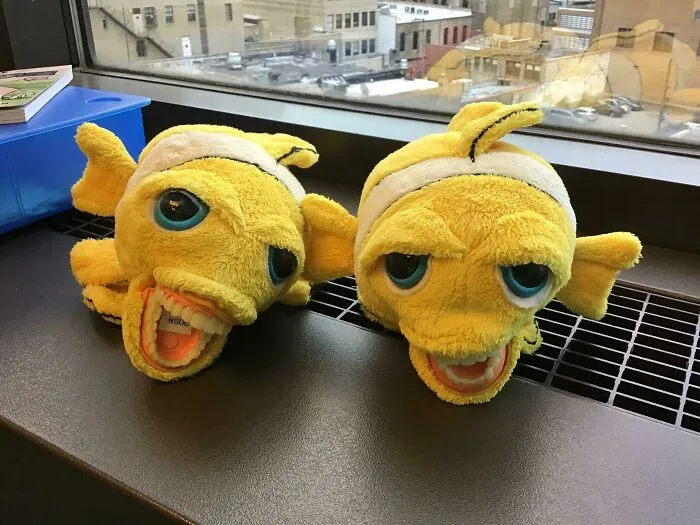 Don’t Put Teeth On Anything, Period.