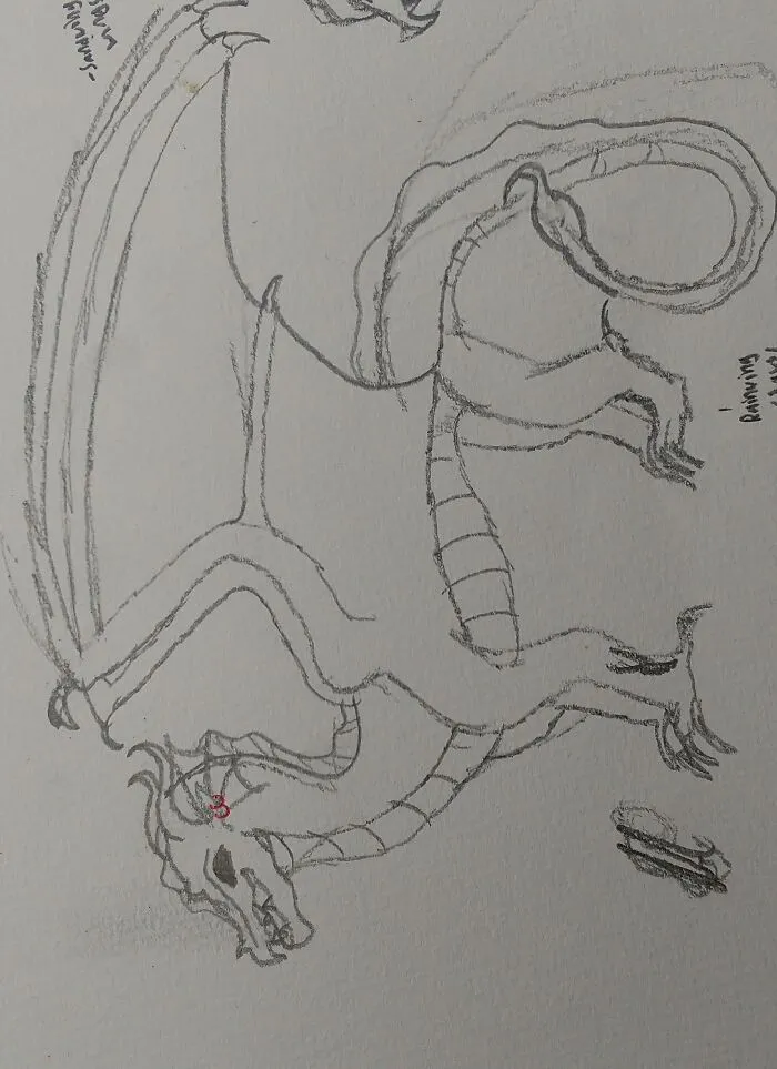 Rain/Sandwing Hybrid