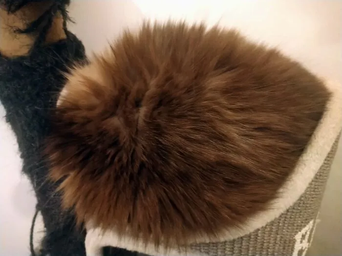 This Is Hazel, He Ist Trying Verx Hard To Become Sphere. It Is A Cat Btw.