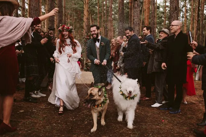 The Best Wedding Photos Of 2020 Have Just Been Announced, And Here Are The 30 Best Ones