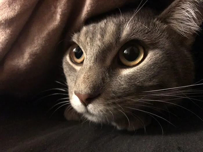 So Hard To Choose, But Love This One Of Merlin