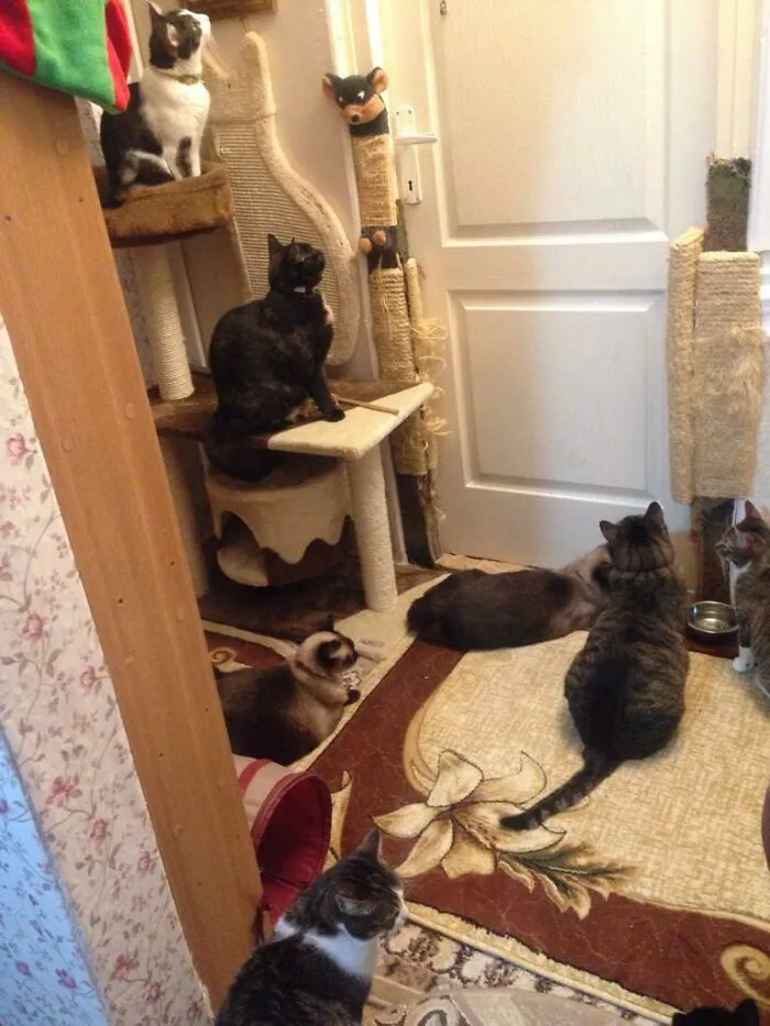 Mom Is Behind The Closed Door Preparing Dinner...