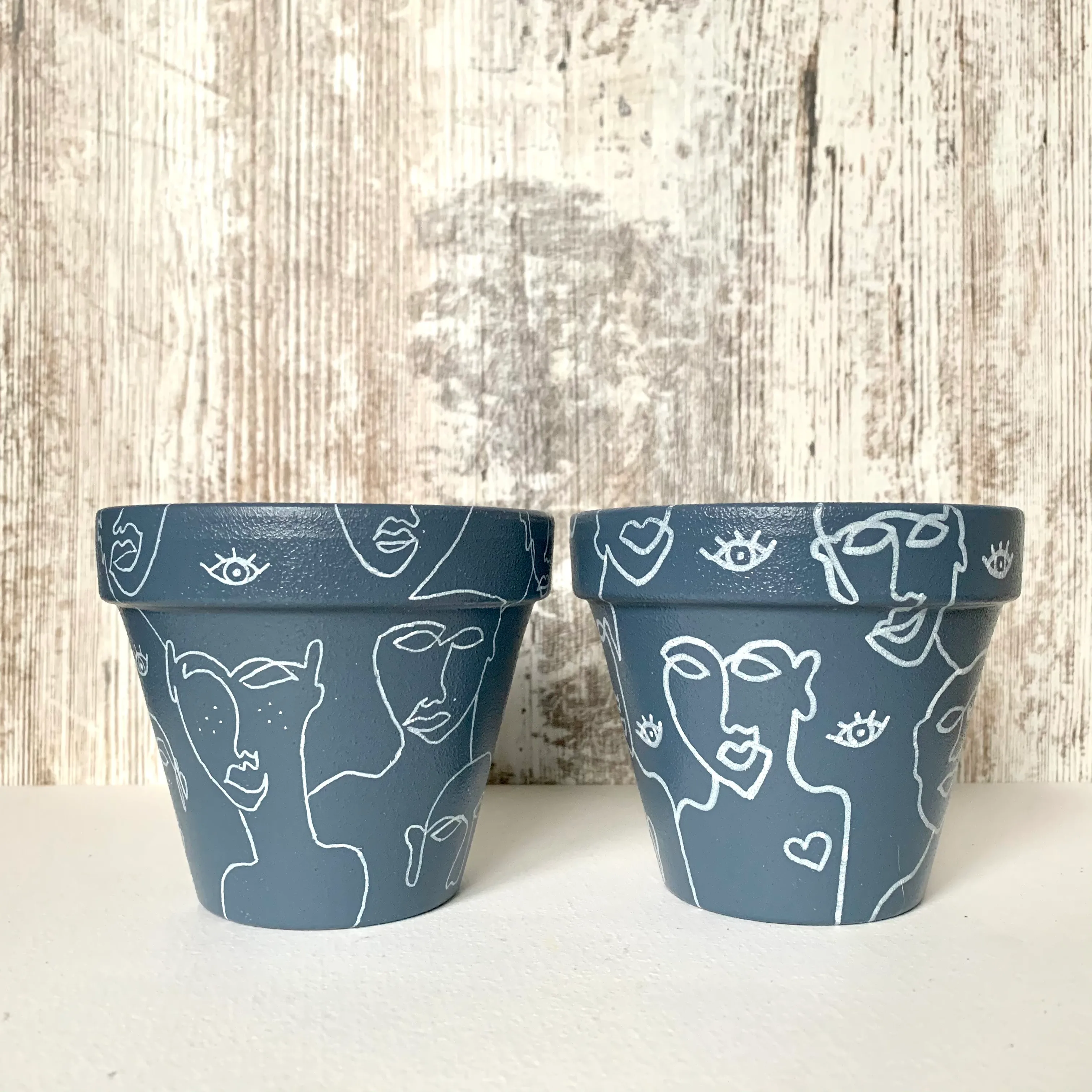 I Paint Plant Pots