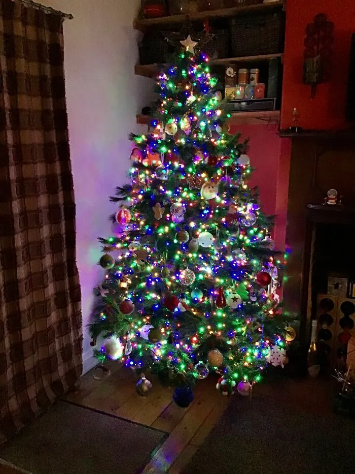 Still Some Baubles To Go On And The Cat Still Likes To Poo Under It!