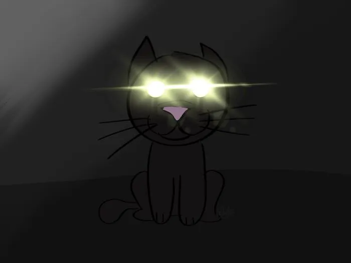 My Aunts Cat Likes To Stare At Us All Like This: