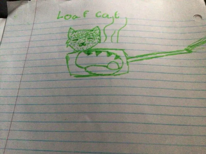I’m Not Great With Animals , But Here’s Loaf Cat!