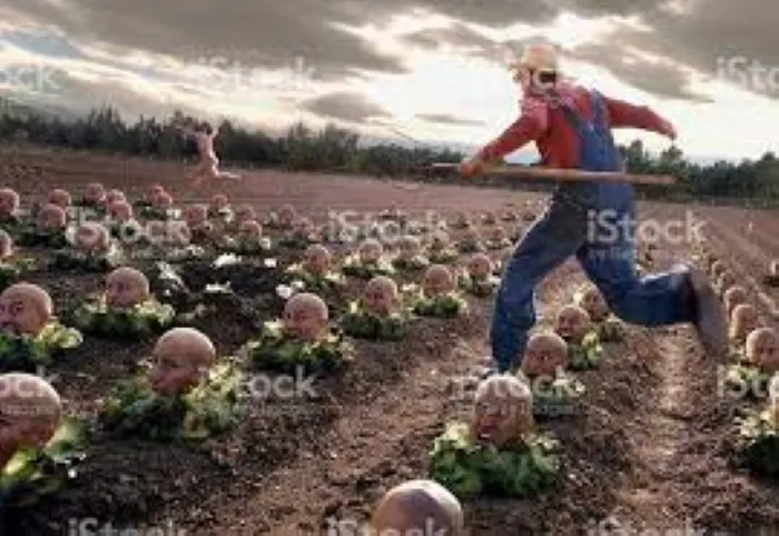 Just Another Day On The Farm....