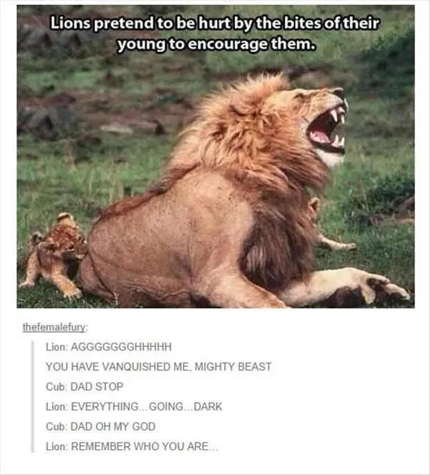 Hey, Pandas, Post The Most Wholesome Pictures You Know