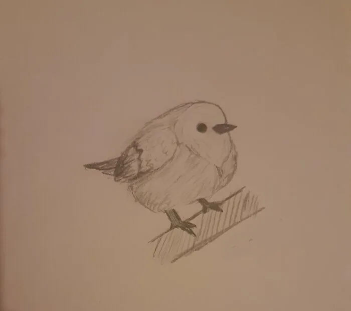 Pudgie Birb