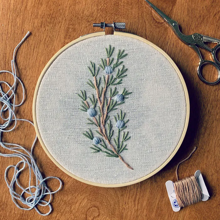 Simple Juniper Branch