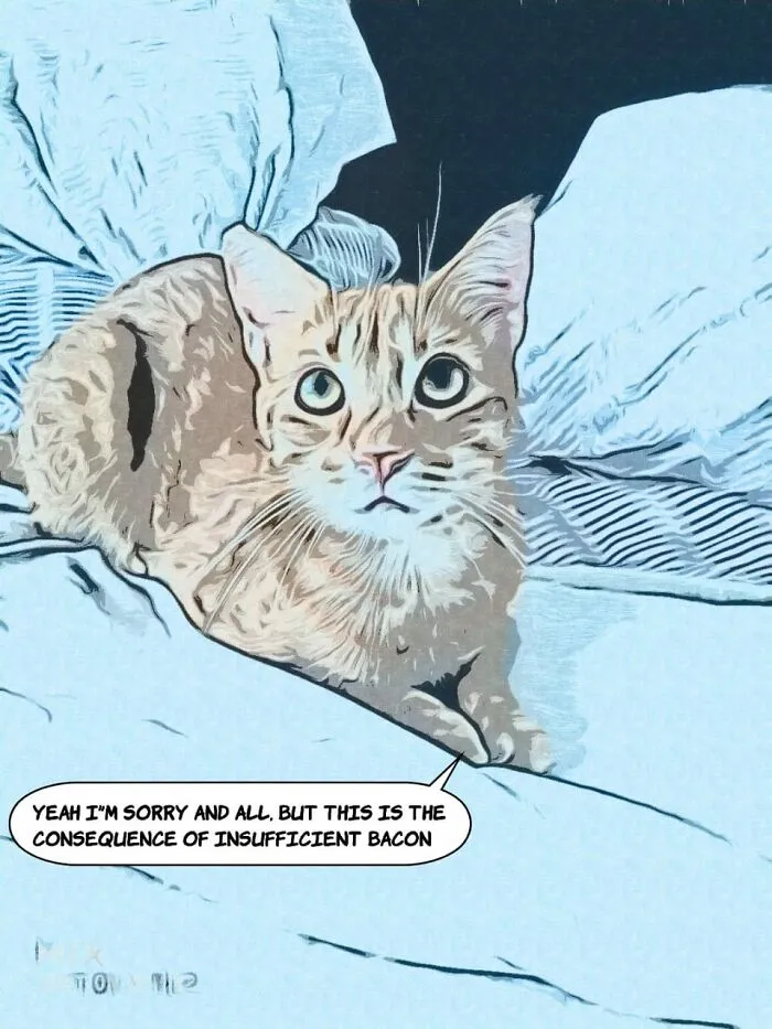 A Cartoon Of  My Cat Juan Martín. The Caption Reflects His Personality