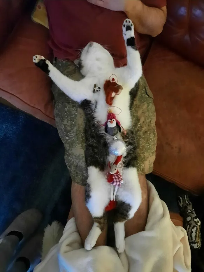 Chillin