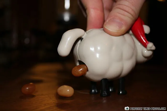 The Jelly Been Pooping Sheep. A Few Years Ago My Mom Got Me One Of These And It Was Great! It Diddint Come With That Many Jelly Beens Tho