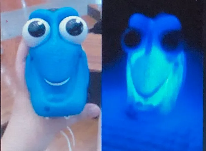 Dory Light!