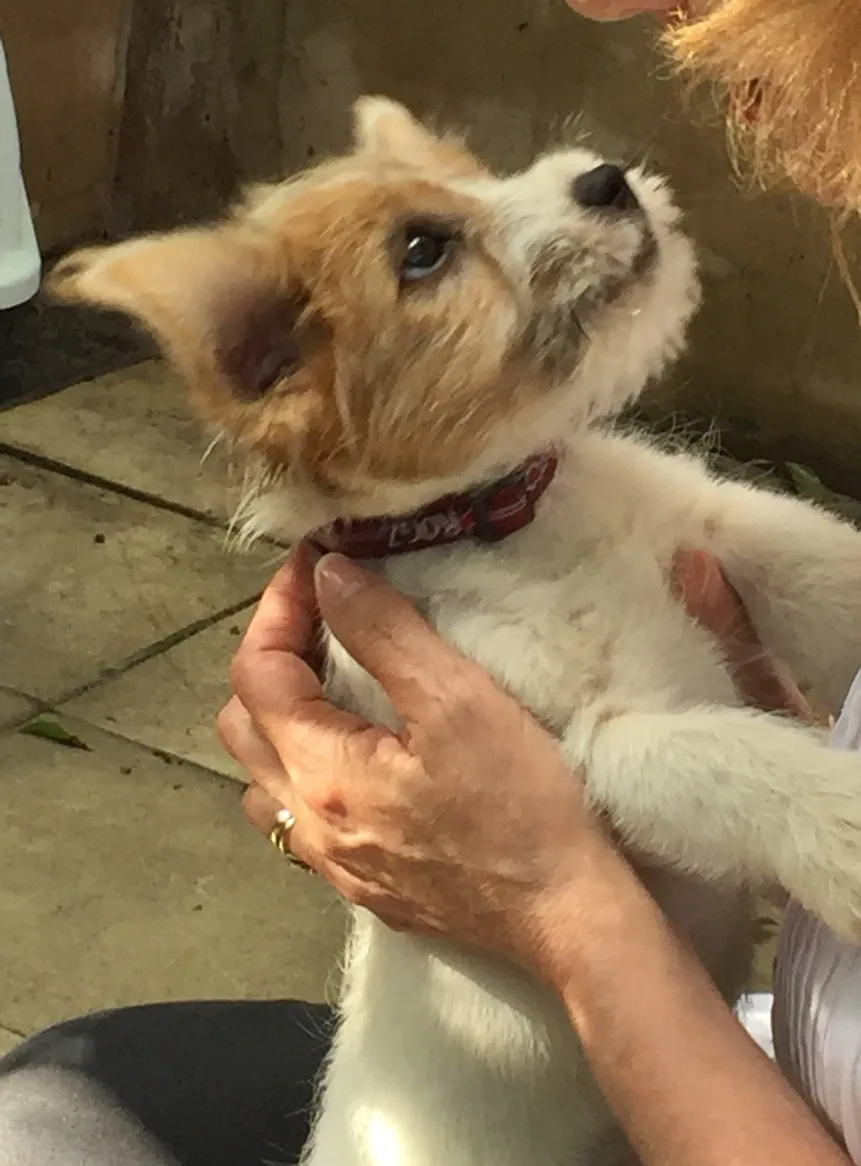 Charlie Seemed Happy With His New Home...