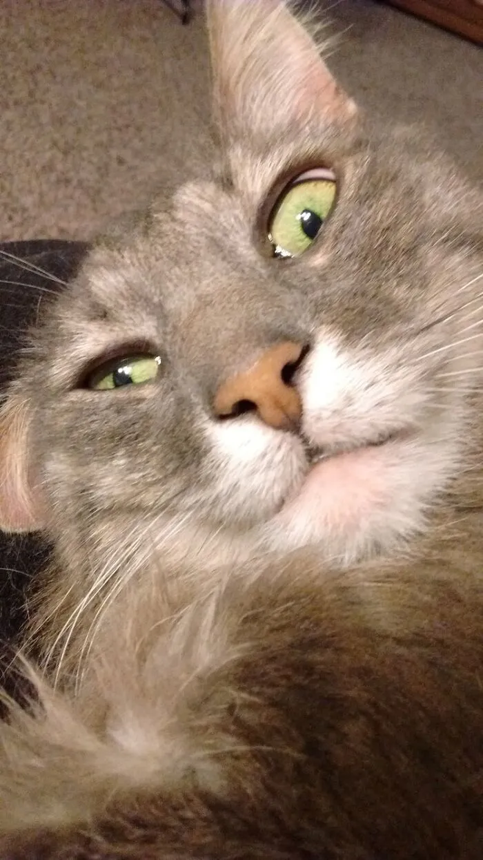 Maya Caught In Mid Head Shake