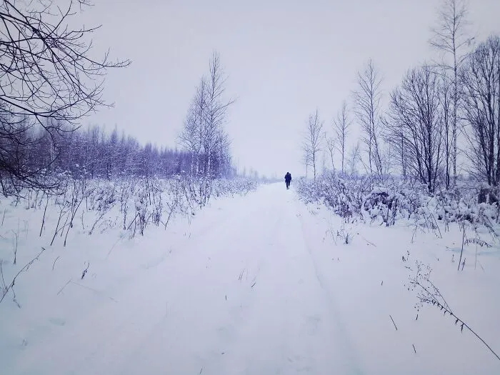Central Russia, Second Day Of Real Snow