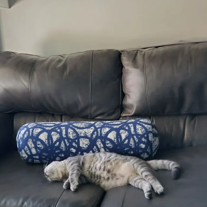 Poppy Needs A Nap