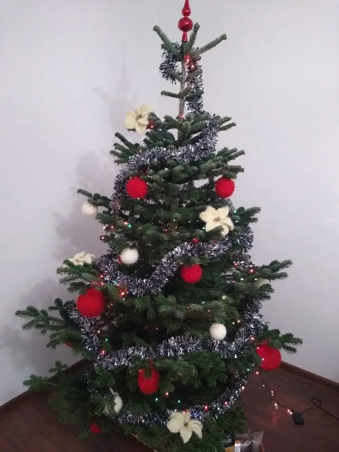 Second Year When I Made The Ornaments By Myself.. I Think I Just Started A Christmas Tradition.