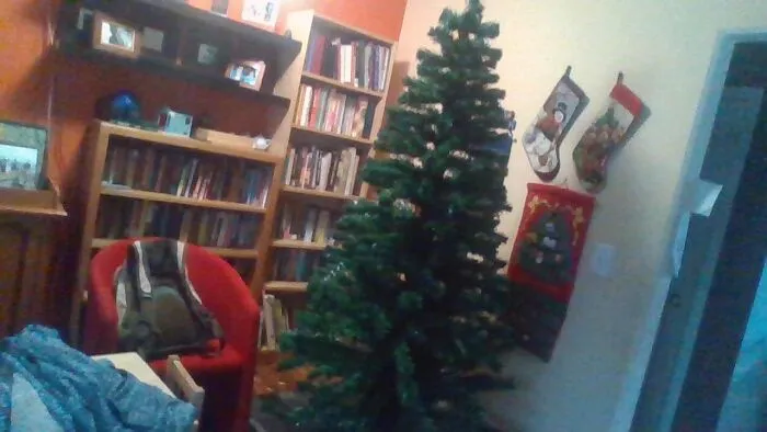 Tree When Not Lit Up