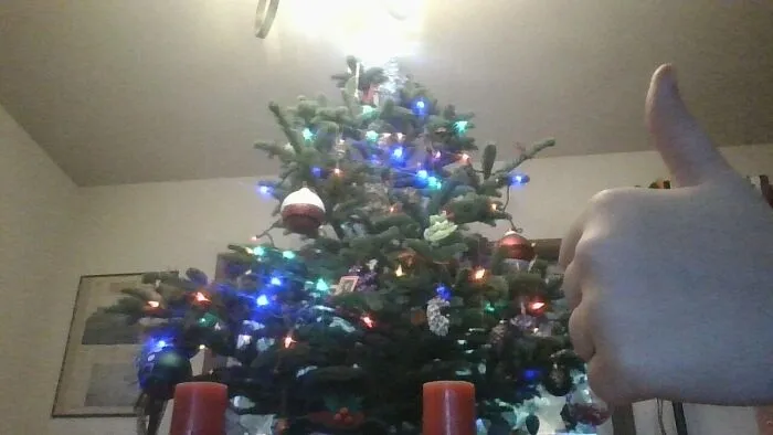 Real Tree!! No Really, Real. W/ Train. And Snowflakes