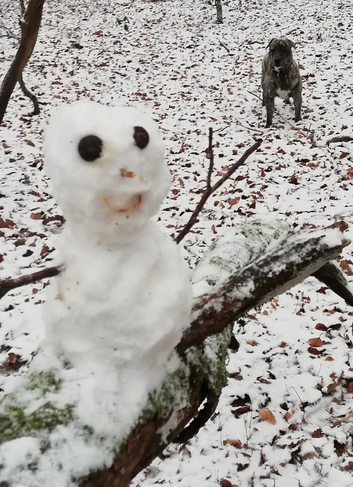 Our Little ⛄ V.1