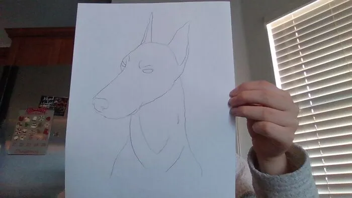 I Tried Lol