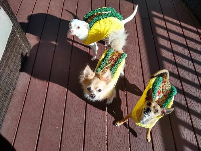I Love Tacos!!!!!!!!!!!!!!!!!!!!!!!!!!!