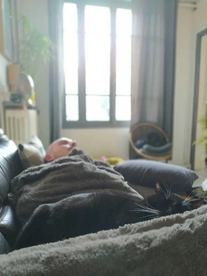 Dimanche Aprèm